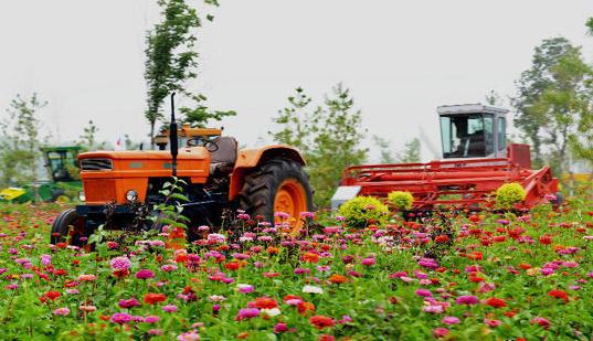 “十三五”大思路規劃, 哪些決定將影響農業行業