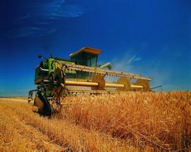 益海嘉里王巍:搭“一帶一路”建設快車加快農業“走出去”