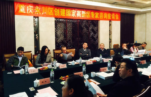 科技部高端智庫(kù)專(zhuān)家會(huì)診重慶永川創(chuàng)建國(guó)家高新區(qū)