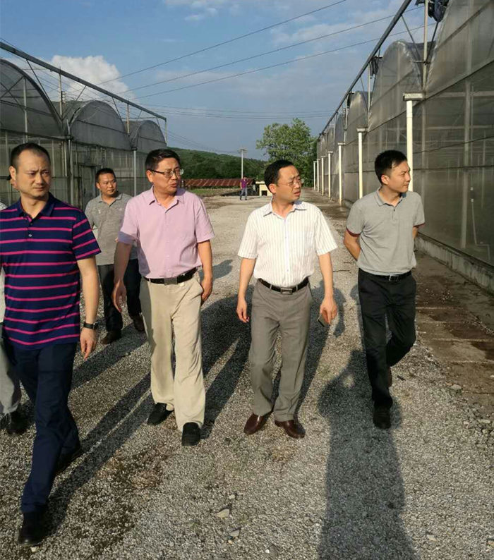 園區企業走訪調研 院長李文輝在湖南宜章經開區及農業科技園進行調研