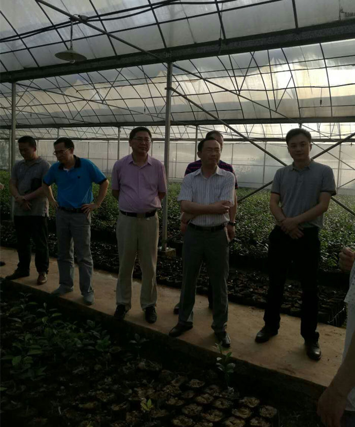 園區企業走訪調研 院長李文輝在湖南宜章經開區及農業科技園進行調研