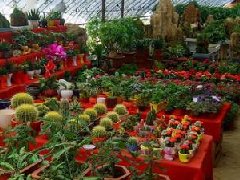 國務院關(guān)于同意在石家莊等24個城市設立  跨境電子商務綜合試驗區(qū)的批復