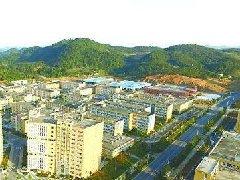 中山:加快建設(shè)東升脆肉鯇、橫欄花木省級(jí)現(xiàn)代農(nóng)業(yè)產(chǎn)業(yè)園