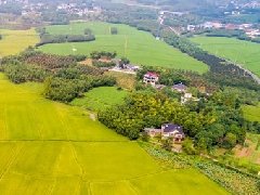 智慧園區(qū)規(guī)劃 | 產(chǎn)業(yè)園區(qū)該如何應(yīng)對(duì)突發(fā)公共事件?