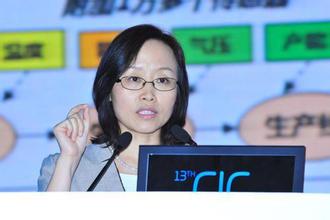 曹淑敏:解讀“互聯網+”行動指導意見