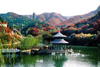 國家林業(yè)局關于印發(fā)《中國生態(tài)文化發(fā)展綱要 (2016-2020年)》的通知