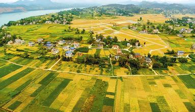 經濟轉型,要抓縣域經濟牛鼻子?