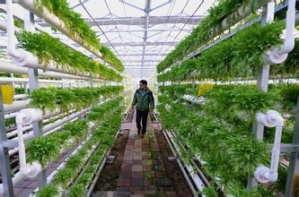 平臺戰(zhàn)略模式與農(nóng)業(yè)供給側改革