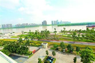 佛山市:鎮(zhèn)域經(jīng)濟轉型新樣本