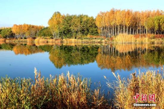 甘肅經(jīng)濟(jì)觸底求變：打好特色牌，多拿單打冠亞軍