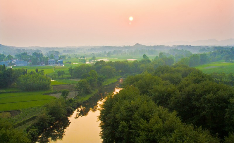 湖北崇陽:綠色產業聚力鄉村振興