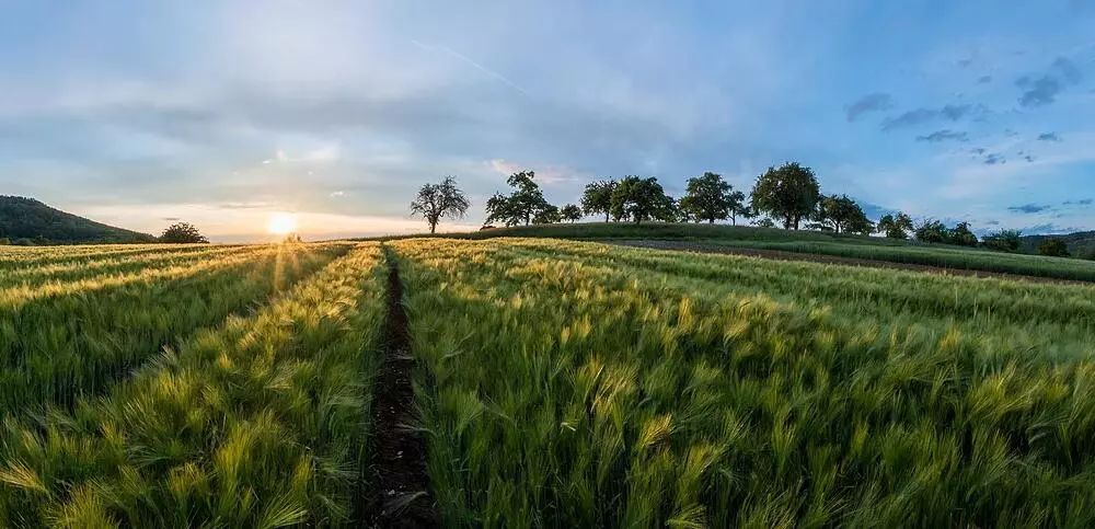 國家農業(yè)科技園區(qū)發(fā)展規(guī)劃2018-2025年