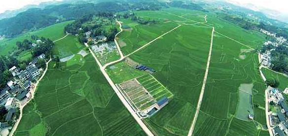 大健康事業是國家趨勢，現今走在前面的人，將是未來的主角！