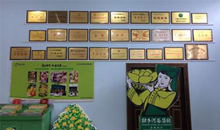 “芒果百色，香飄百地” 國內首家芒果精深加工特色產業基地申報進行時