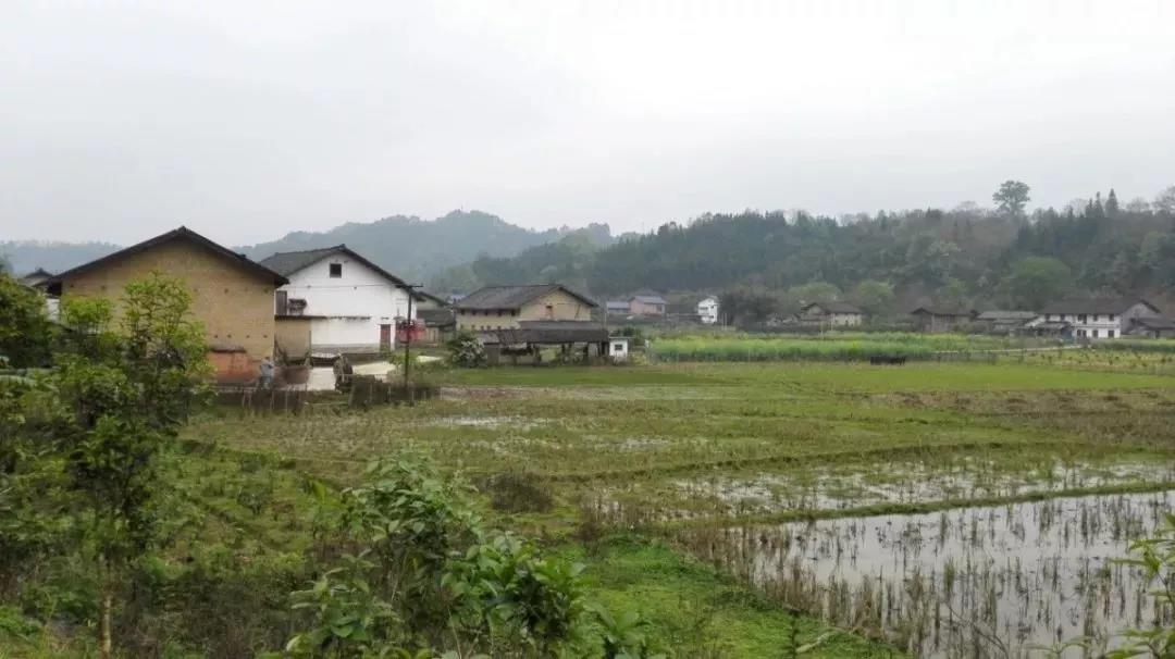 農(nóng)村土地確權(quán)結(jié)束，沒(méi)登記的四荒地如何處理？