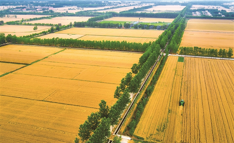 江蘇：魚(yú)米之鄉(xiāng)，鄉(xiāng)村產(chǎn)業(yè)動(dòng)能澎湃