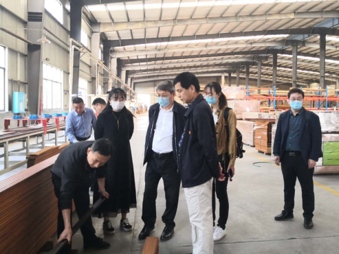 竹青筍香“桃花江”,現(xiàn)代農(nóng)業(yè)吐芬芳