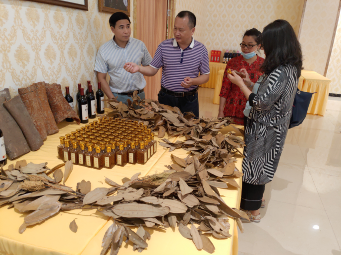 龔州大地,龍眼飄香-平南現代農業正釋放科技創新活力