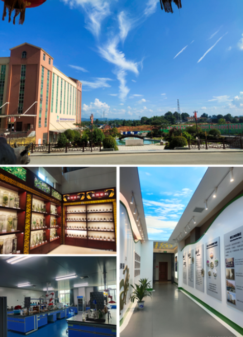 創建省級高新區,鶴城工業集中區邁入高質量發展快車道