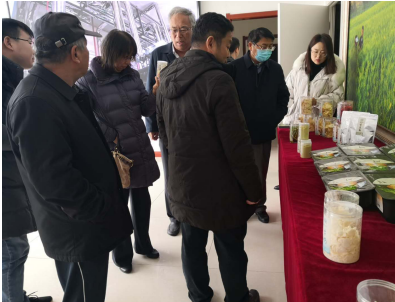 借力專家智慧,云州區蹄疾步穩邁向國家現代農業產業園