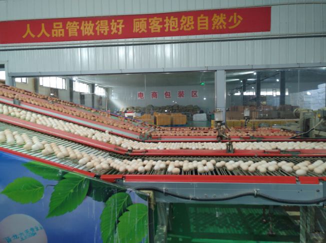 后稷故里,板棗之鄉——山西省稷山縣大力爭創國家現代農業產業園