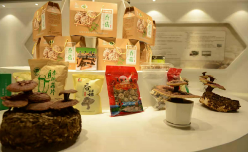 依托蘋果和香菇兩大特色優(yōu)勢(shì)產(chǎn)業(yè),萬(wàn)榮縣積極申創(chuàng)國(guó)家農(nóng)業(yè)現(xiàn)代化示范區(qū)