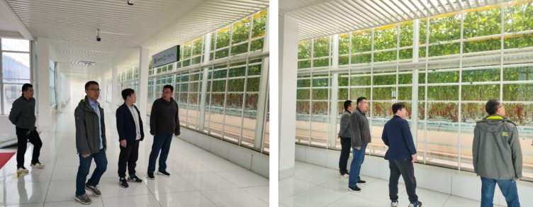 加強農業產業布局規劃,民樂縣向農業強縣進發