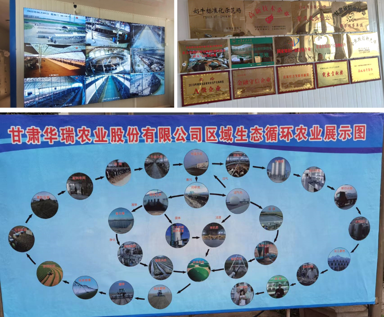 加強農業產業布局規劃,民樂縣向農業強縣進發