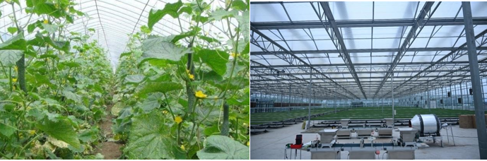 高新院再創佳績,又一國家現代農業產業園誕生在三晉大地