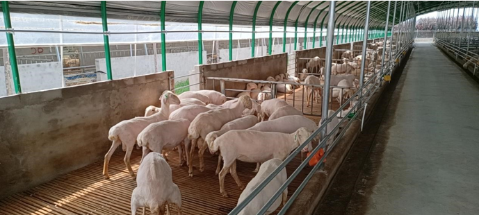 高新院再創佳績,又一國家現代農業產業園誕生在三晉大地