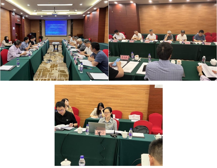 《培育發展湘潭市、婁底市、衡陽市先進鋼鐵材料集群實施方案》獲專家高度評價