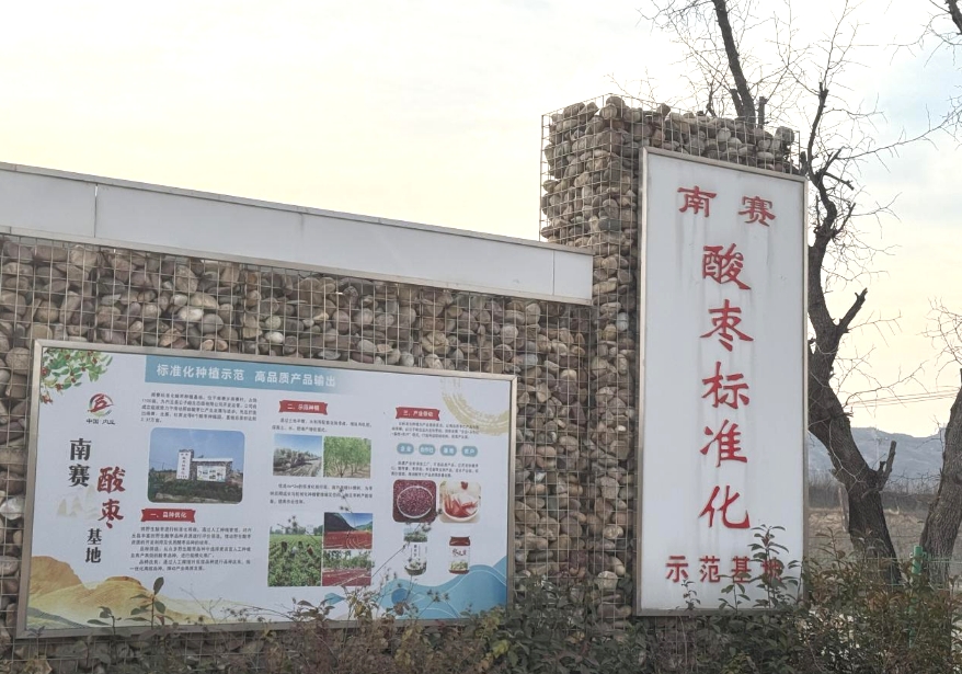 大盈之地,寶藏內丘—我院專家組走進太行山 酸棗之鄉調研