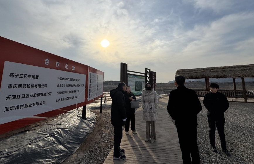 大盈之地,寶藏內丘—我院專家組走進太行山 酸棗之鄉調研