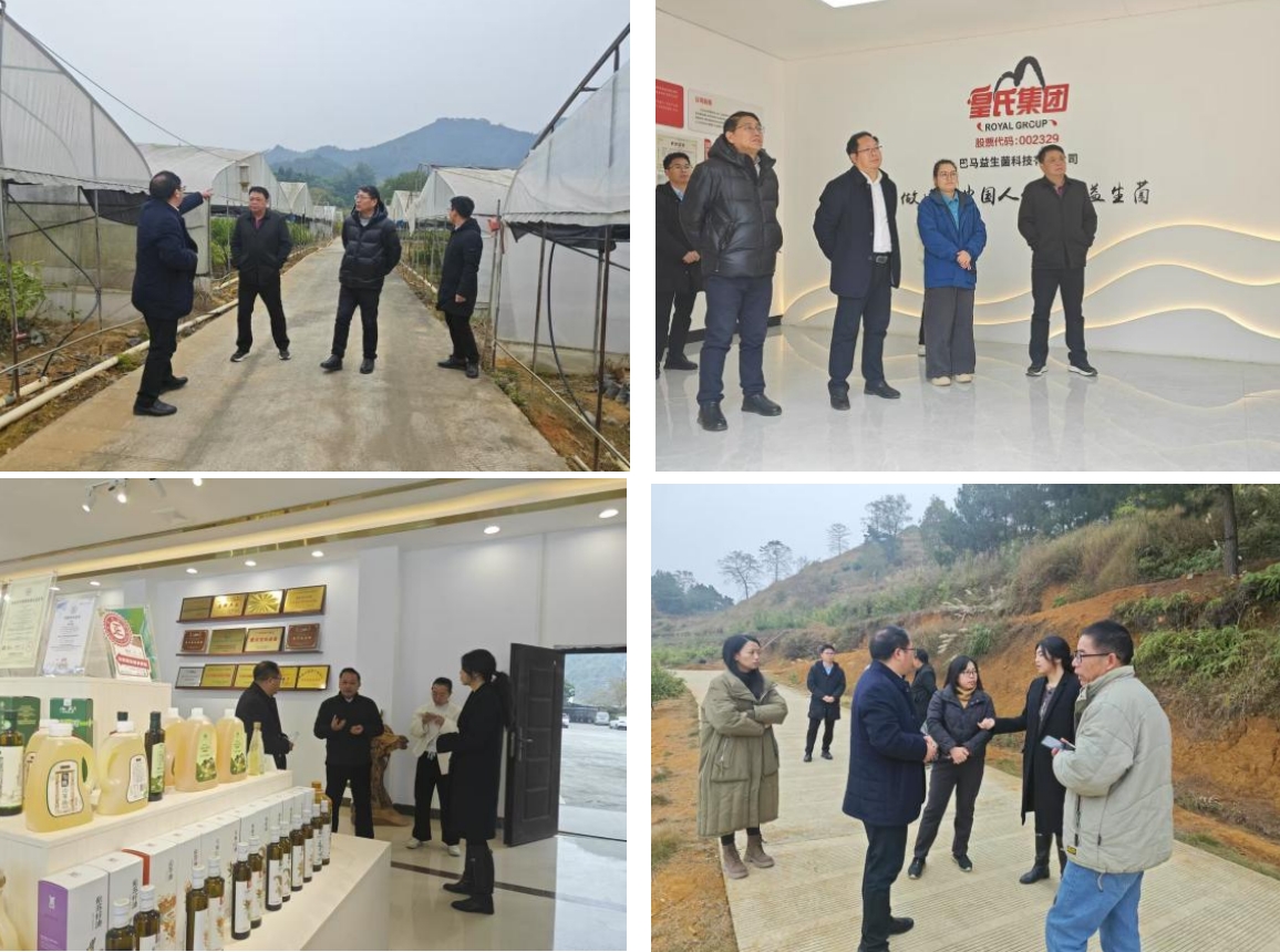 長壽之鄉，逐路之行——高新院專家組一行赴廣西巴馬瑤族自治縣開展河池農高區創建調研